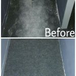 Carpet Before/After 3
