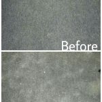Carpet Before/After 5