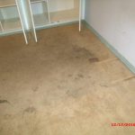Carpet 2 Before