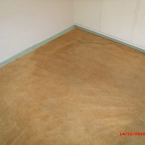 Carpet 4 After