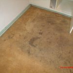 Carpet 4 Before