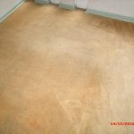 Carpet After 2